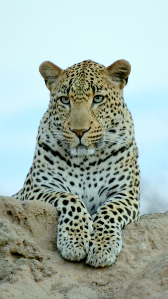 Guided Kruger Park Tours - Southern Circle