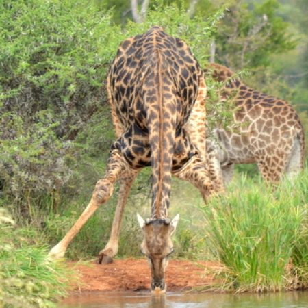holiday packages south africa