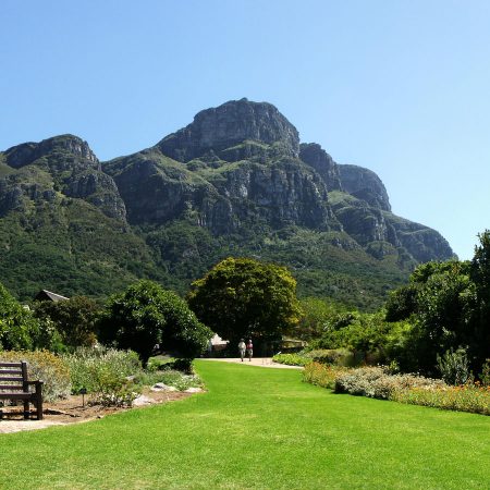 Kirstenbosch_-_View_from_the_Botanical_Gardens